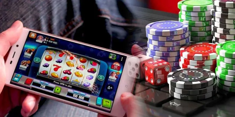 Livestream Rồng Hổ thu hút nhiều người tham gia đặt cược